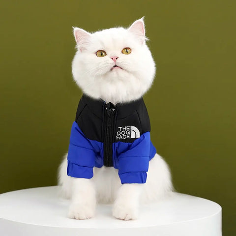 White cat wearing a black and blue jacket with 'The Dog Face' logo.
