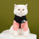 White cat wearing a black and pink jacket with 'The Dog Face' logo.