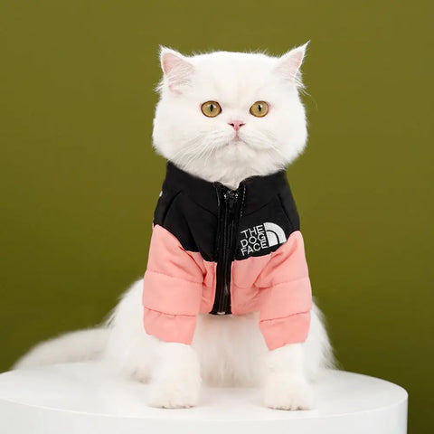 White cat wearing a black and pink jacket with 'The Dog Face' logo.