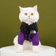 White cat wearing a black and purple jacket with 'The Dog Face' logo.