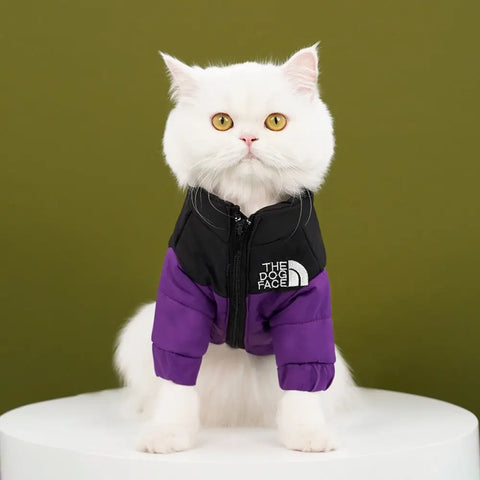 White cat wearing a black and purple jacket with 'The Dog Face' logo.