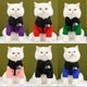 White cat wearing a black hoodie with 'The North Face' logo.