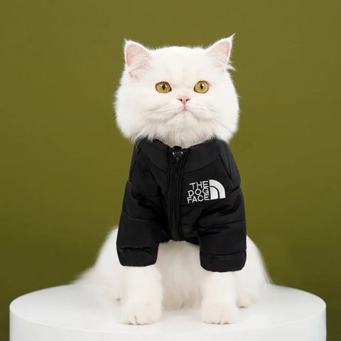 White cat wearing a black jacket with 'The Dog Face' logo.