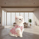 White cat wearing pink fluffy outfit on soft surface with warm background.