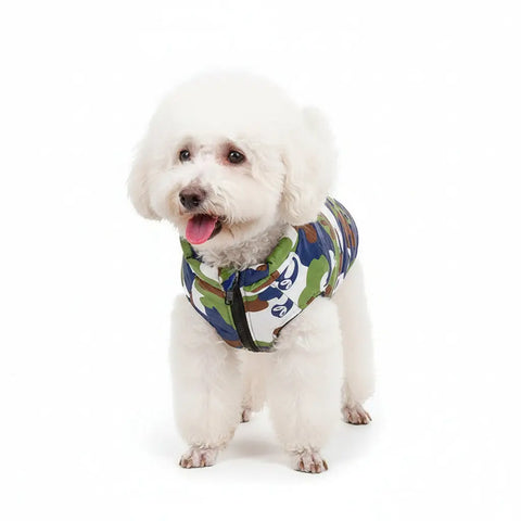White dog wearing a colorful harness on a grassy background