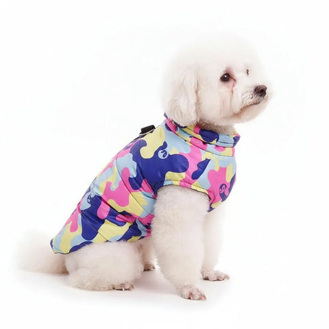 White dog wearing a colorful patterned coat outdoors on grassy area.