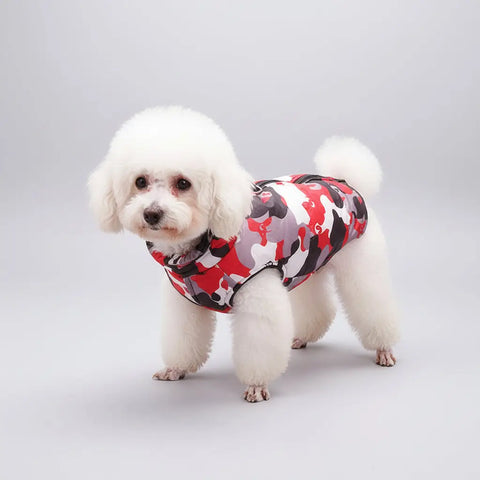 White dog wearing a red and black camouflage coat on a stone surface with grass in the background.