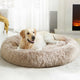 Golden Retriever lying comfortably on a soft white khaki plush anti-anxiety donut dog bed