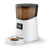 White pet food dispenser with transparent top showing dry kibble.