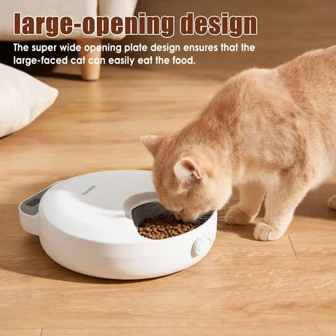 Cat eating dry food comfortably from a wide opening automatic pet feeder bowl