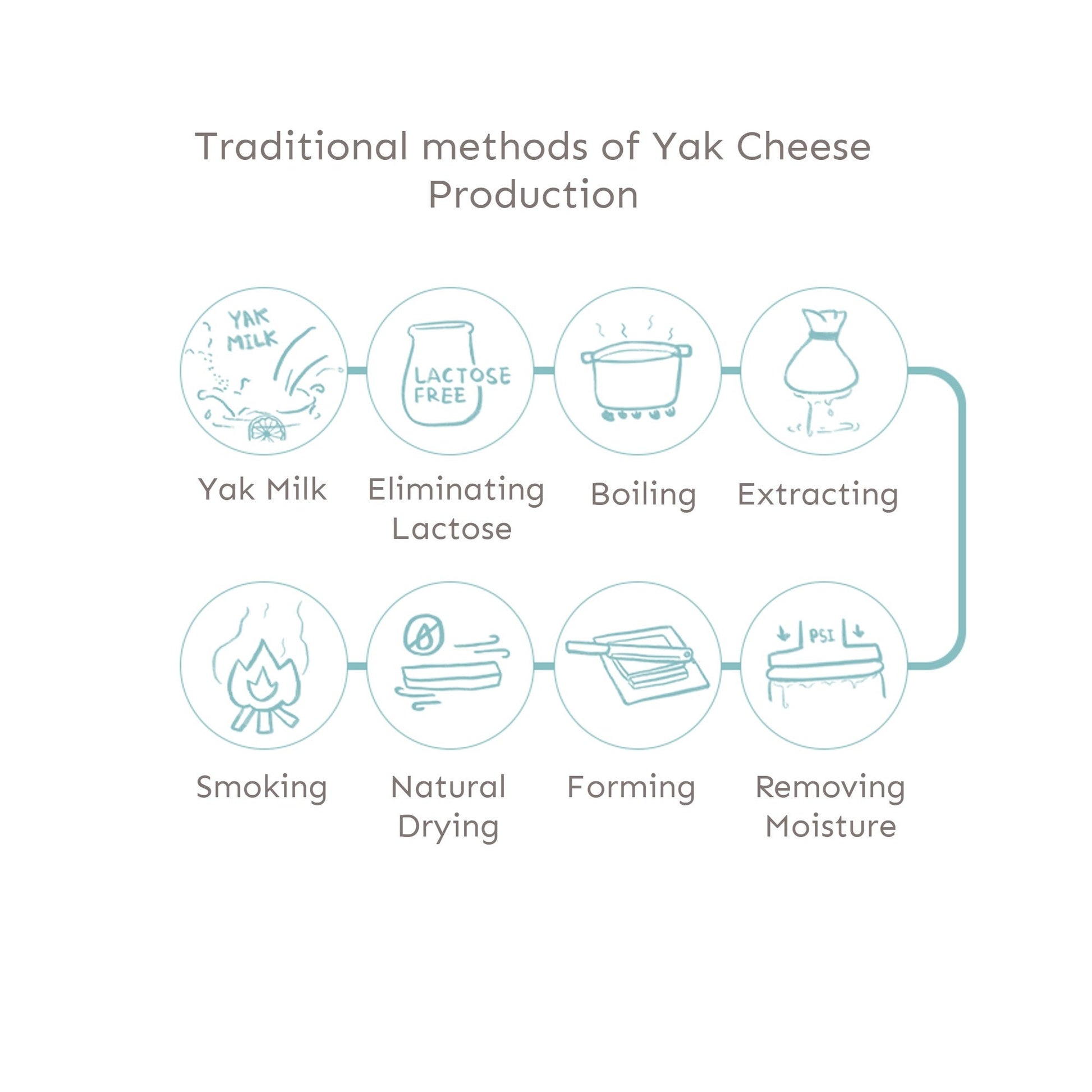Diagram of traditional methods of yak cheese production on a white background