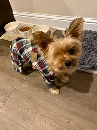 Yorkshire Terrier dog wearing plaid dog pajamas standing near pet bowls and a gray snuffle mat.