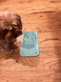 A small brown dog standing next to a large rectangular blue silicone pet lick mat with four distinct texturing quadrants on a wooden floor.