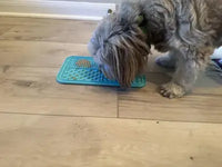 A long-haired small dog, likely a Shih Tzu mix, licking treats from a blue Zonopy silicone lick mat placed on a light hardwood floor.